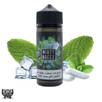 جویس سامز ویپ ادامس نعنا یخ ۱۲۰ میل | SAMS VAPE FROZEN MNIT BREEZ